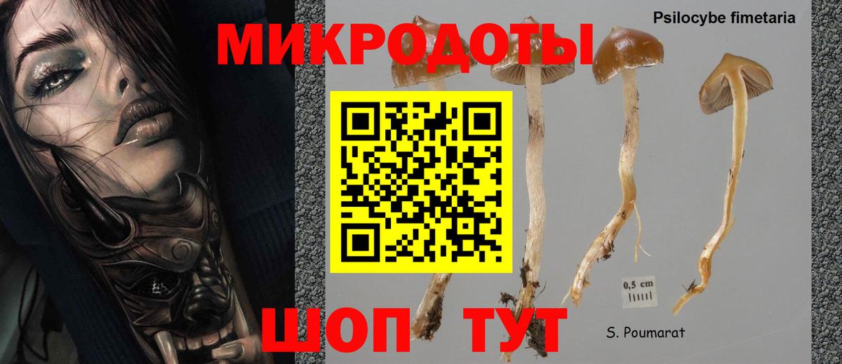 Псилоцибиновые грибы Magic Shrooms Ревда